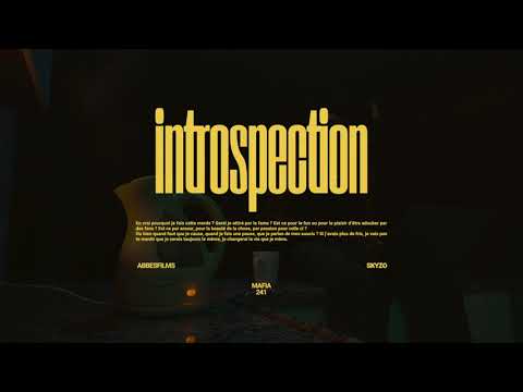Skyzo - Introspection (Clip Officiel)