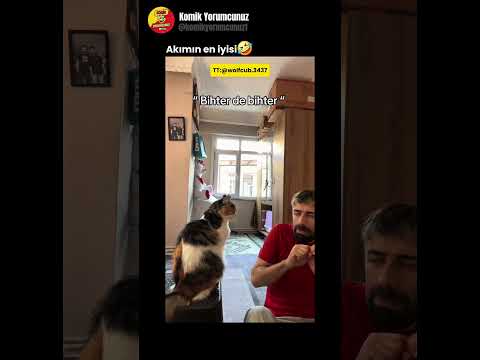 Tarçın biraz sinirli galiba😂