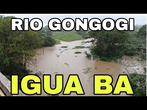 IGUAÍ BA, RIO GONGOGI CHEGANDO MUITA ÁGUA DEPOIS DA FORTE CHUVAS DA MADRUGADA,  HOJE 27/11/2025.