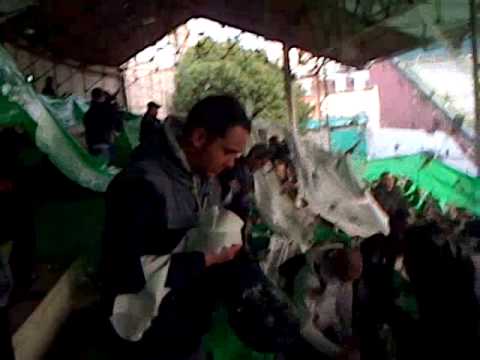 Red star tifo du kop