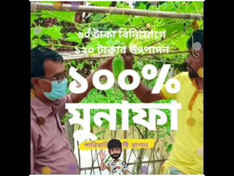 পারিবারিক পুষ্টি বাগান