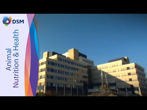 Powder mould inhibitor for animal feed, packaging size: 25 k...