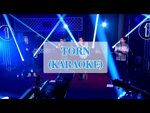Natalie Imbruglia - TORN (Karaoke in One Direction Style)