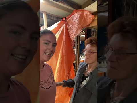 Vlog Goede tijden, …. meiden (deel 1) - Mediapark Cabauw