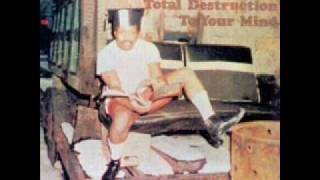 swamp dogg - these are not my people.wmv