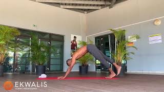 YOGA FRED