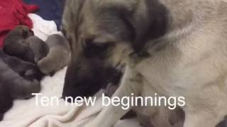 You have to see this.