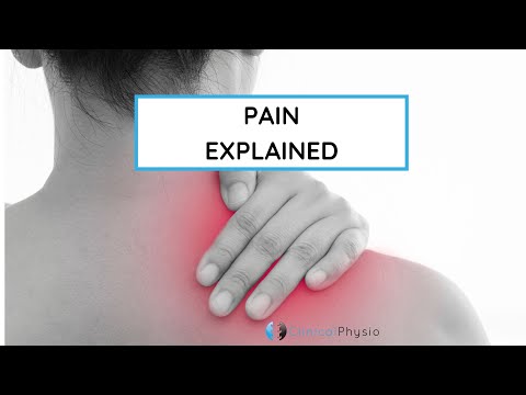 Pain Explained | Help Treat Your Patients with Your Ability to "Explain Pain"