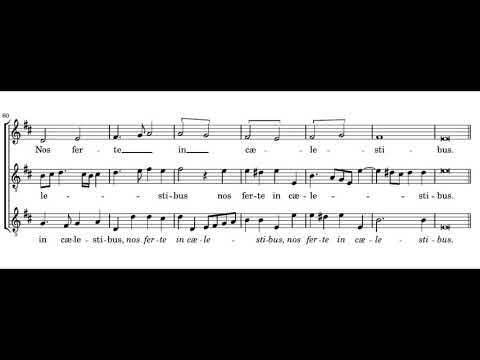 Video thumbnail for Christe redemptor omnium, conserva