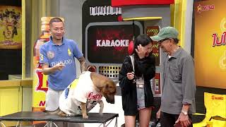 Download lagu SPOT is here! | The return of 'The Idiot' who will stun everyone with his singing voice | Decembe... mp3 Download lagu SPOT is here! | The return of 'The Idiot' who will stun everyone with his singing voice | Decembe... mp3