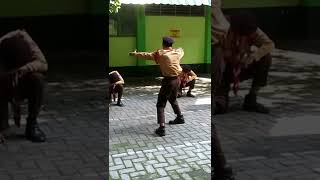 Download lagu Whatever They Say, My Road Is Still Long | Scout Cheer mp3