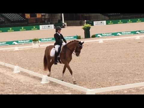 Fiderflame & Ariana Chia 70.2% FEI 7YO Tryon CDI