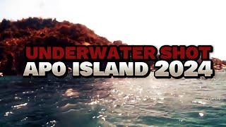 APO Island Underwater Tour 2024