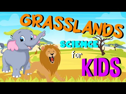 What are Grasslands | Science for Kids