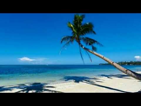 Lovable Clown Sit Com - Sir Cubworth