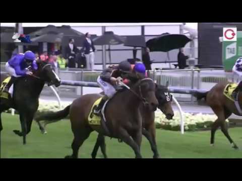 2016泰斯奧錦標(G3)