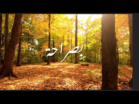 Pamela Antoun - bi saraha | بصراحة - باميلا أنطون #lyrics