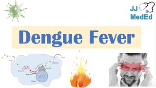 Dengue Fever | Pathophysiology, Symptoms, Diagnosis &amp; Treatment