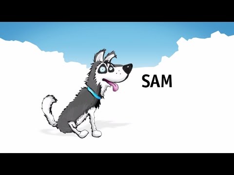 Climatedog Sam: bringer of cold fronts from the Southern Ocean (Southern Annular Mode)