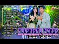 NEW PALLAPA FULL ALBUM TERNARU 2024 Nggantang Manuk Harusnya Kau Kembali Sia Sia Mengharap Cintamu