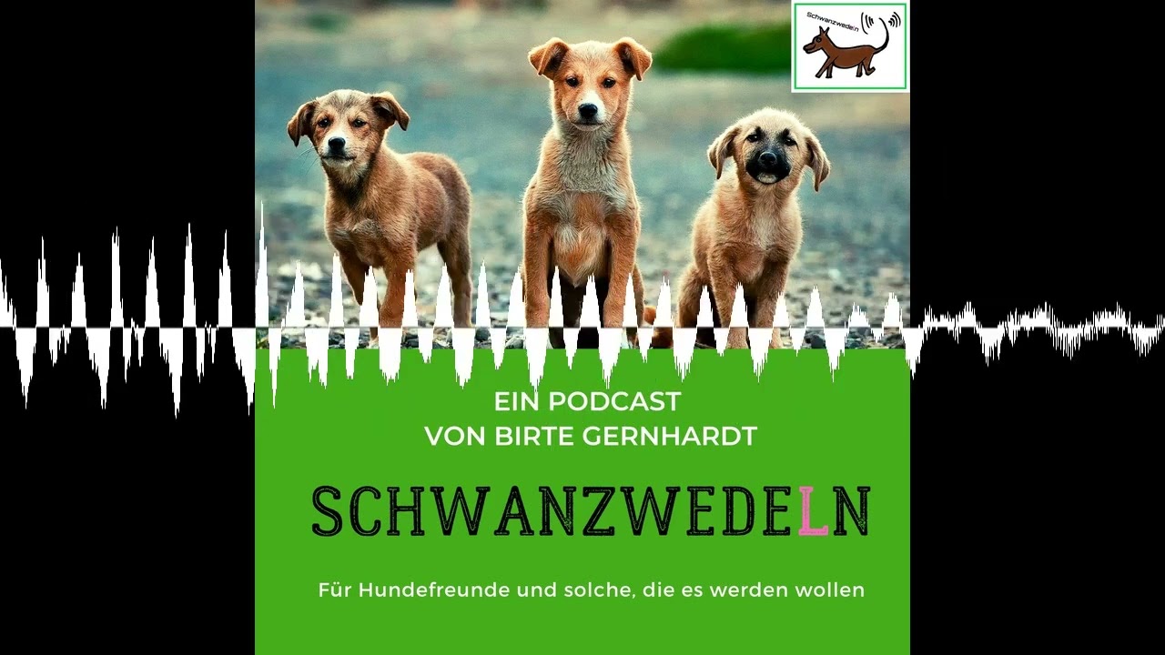 96 Patzo App - Tool für Hundebetreuung und Dogsharing - Schwanzwedeln