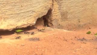 Diário de Imagens 05.05.2013