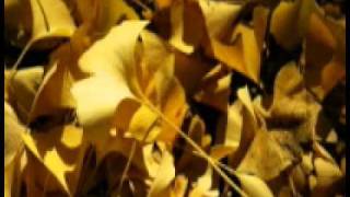 Story Of The Year - Nothing Can Fly