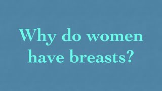 Hypotheses for Breast Evolution
