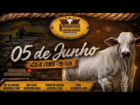 GARANTIDO LEILÕES RURAIS - RIANÁPOLIS-GO