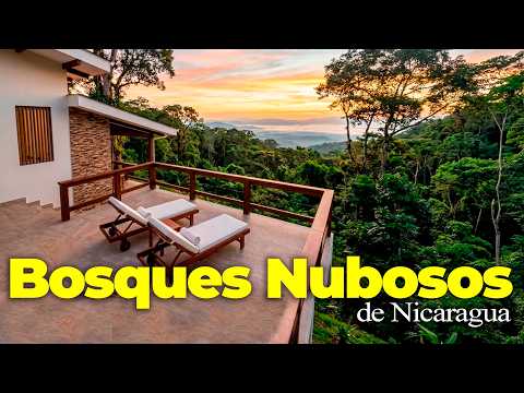 El Eco-Resort ESCONDIDO en las SELVÁTICAS Montañas de Matagalpa 🌿NI