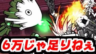 【にゃんこ大戦争】異次元コロシアム続き！お金の管理が下手くそすぎてすぐ金欠になる男ｗｗｗ【本垢実況Re#2426】