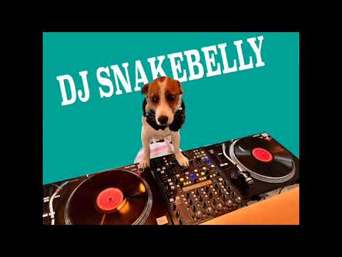 Master Jam! DJ Snakebelly Vinyl Mix