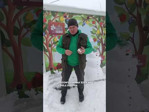Fagyérzékeny cserjék videó