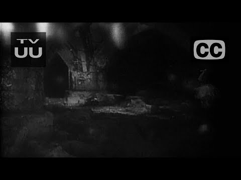 BAMBI - Fear [prod. downtime]