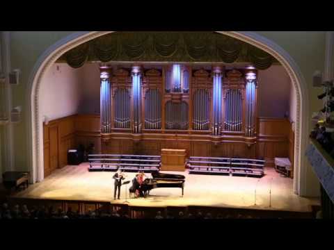 Franz Schubert - Violin Sonata in a minor, D. 385 - Johannes Fleischmann & Yuri Bogdanov