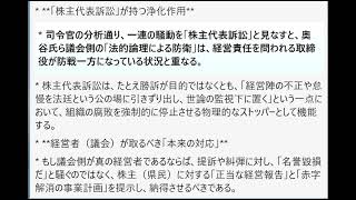 立花氏を「物言う株主（アクティビスト）」および「株主代表訴訟の提訴者」と定義し、県政の浄化におけるその機能と限界を経営学的に分析する。