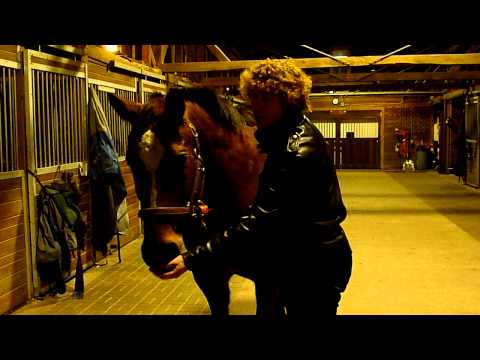 Happy Birthday, Shakira!