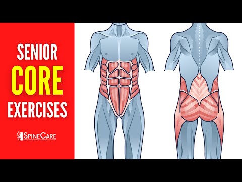Best Core Strengthening Exercises for Seniors