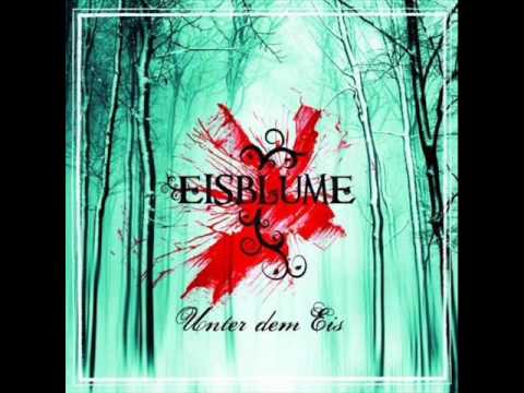 Eisblume - Zeit zu gehen