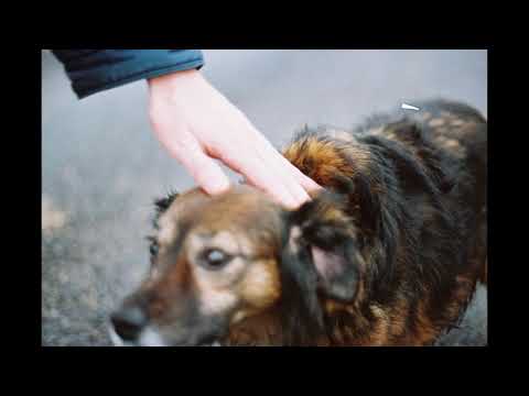 Christopher Scullion - why and wont she be mine! (2011 Full Album)