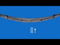 All About Leaf Spring Centerbolts