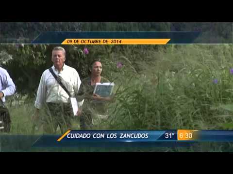 Las Noticias - Las principales noticias jueves 09 de octubre de 2014