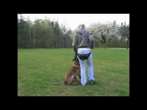 Xapatan Malidaj - nácvik poslušnosti