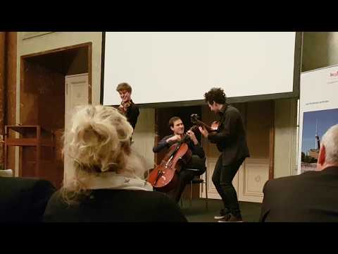 Minor Swing (Django Reinhardt) by Wild Strings - Leonard Goldberg (Wassily Gerassimez)