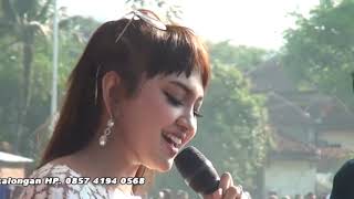 Download lagu LAGI SYANTIK - JIHAN AUDY - SONATA TEMU AKRAB SEDULUR SEHATI DESA BRONDONG mp3