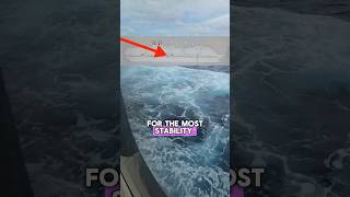 GET SEASICK? Pick THIS Holland America Stateroom!