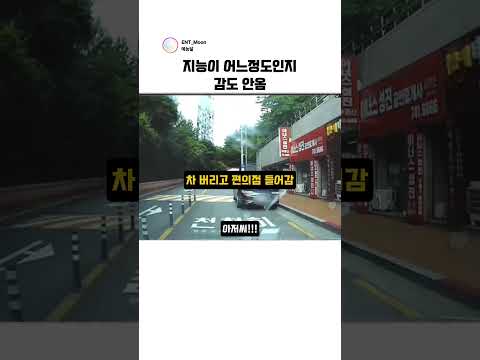 지능이 어느정도인지 감도 안옴 #블랙박스