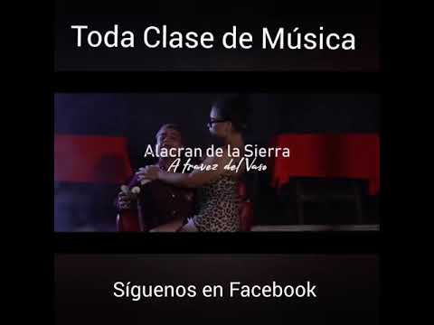 El Alacran de la Sierra - A Través del Vaso