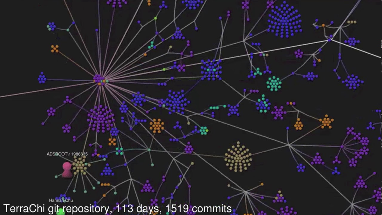 TerraChi Git Repository Visualisation