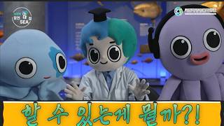 “거북이, 상어, 해마 … 다 어디 갔지?”